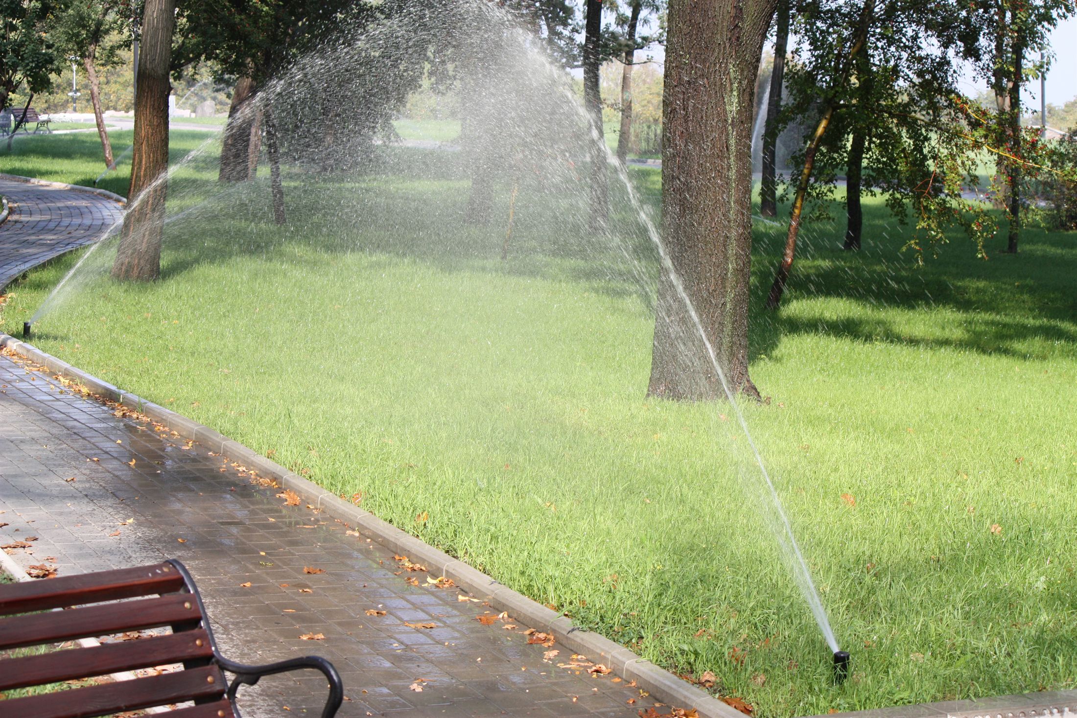 Парк Ленінського Комсомолу, фото 14